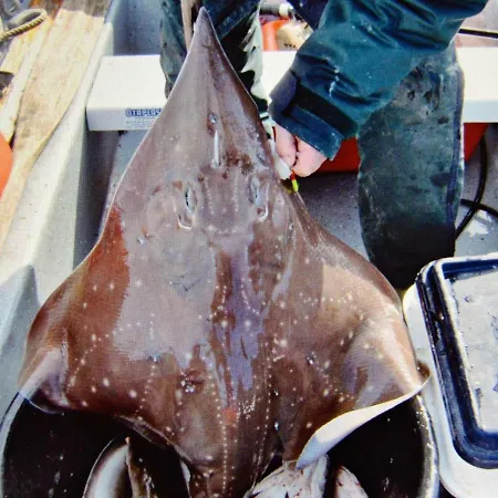 10 Person In Eidsvag