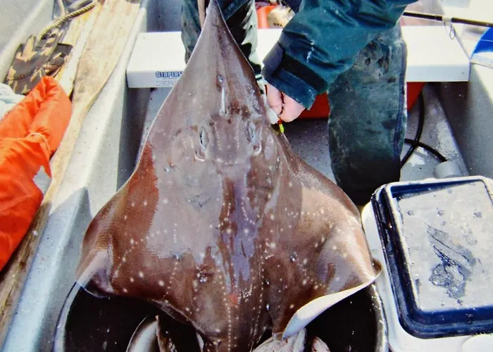 10 Person In Eidsvag